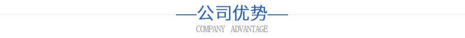 公司优势